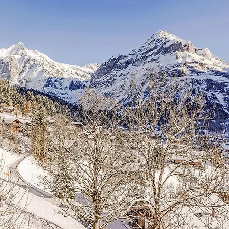 Apartment Jolimont-2 By Interhome *