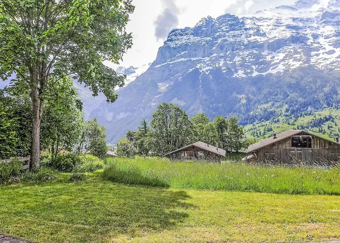 Apartament Jolimont-2 By Interhome