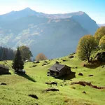 Jolimont-2 By Interhome * Grindelwald