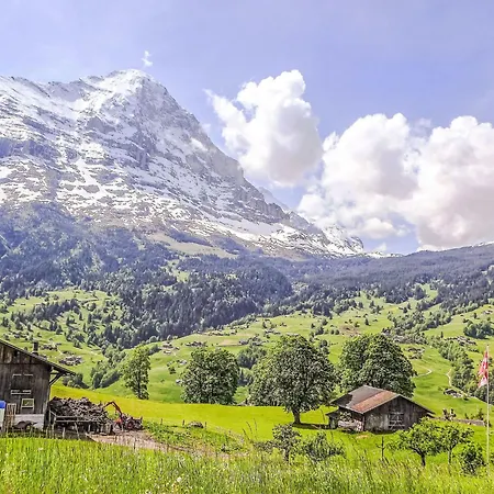 Appartamento Jolimont-2 By Interhome