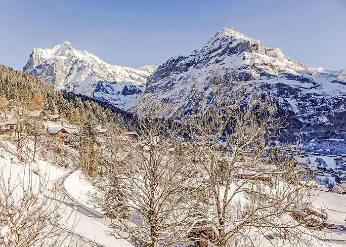 Apartamento Jolimont-2 By Interhome *